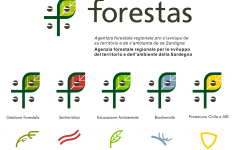 Selezioni FORESTAS