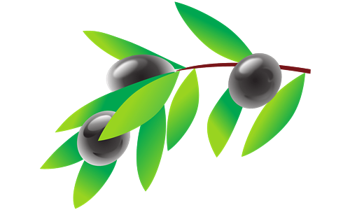 Raccolta olive proprietà comunale anno 2026. Scadenza 12.10.2026 Avviso Pubblico
